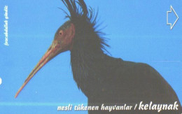 Turkey:Used Phonecard, Türk Telekom, 30 Units, Bird, 2000 - Türkei