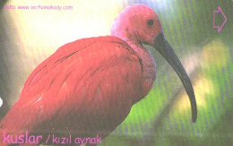 Turkey:Used Phonecard, Türk Telekom, 30 Units, Bird, 2003 - Türkei