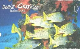 Turkey:Used Phonecard, Türk Telekom, 30 Units, Corals, Fishes, 2003 - Türkei