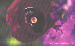 Turkey:Used Phonecard, Türk Telekom, 50 Units, Flower, 2003 - Türkei