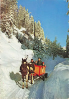 Morzine * Une Promenade En Traineau * Attelage Cheval - Morzine