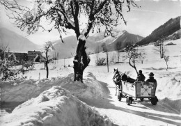 Morzine * Un Traineau Sur La Route * Attelage Cheval - Morzine