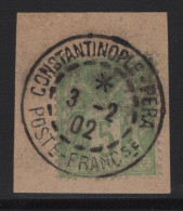 Type Sage Sur Fragment Obliteration Constantinople Pera - 10-2-1902 - Premiere Date Connue Du Bureau - Used Stamps
