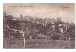 1916 (??)  ORTEZZANO 1  SALUTI DA   FERMO - Fermo