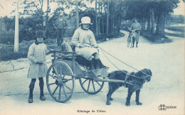 Loiret * Attelage à Chien , Voiture à Chiens * Marchand De Pain , Boulanger - Autres & Non Classés