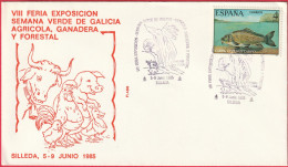 FDC - Enveloppe Silleda (Espagne) (5.9-6-1985) - VIII Foire Expo, Semaine Verte Agriculture, Forêt (Recto-Verso) - FDC