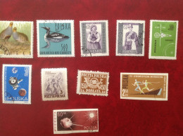 Pologne Oiseaux Sport Satellite 10  Timbres - Sonstige & Ohne Zuordnung