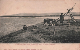 TURQUIE - Embouchure Du Jourdain Sur La Mer Morte - Dimitri Tarazi & Fils -  Carte Postale Ancienne - - Turquie