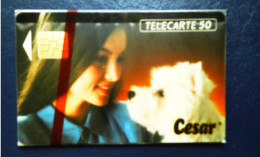 ► CESAR  Chien Dog La Plus Tendre Des Déclarations - Télécarte Neuve Sous Blister 12 300 Ex - France Telecom - Dogs