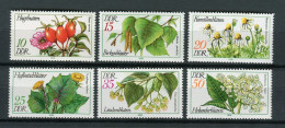 East Germany DDR - 1978 - Mi 2287/92 - MNH ** - Medicinal Plants Arzneipflanzen Flora Fleurs - Heilpflanzen