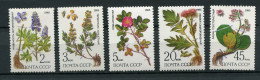 Soviet Union CCCP Russia - 1985 - Mi 5528/32 - MNH ** - Siberian Medicinal Plants Flora Flowers - Plantes Médicinales