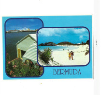 Plage Et Port. - Bermudes