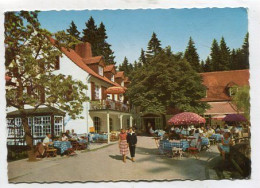 AK 129819 GERMANY - Bad Meinberg - Waldhotel Und Pension Silbermühle - Bad Meinberg