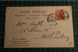 Australia New South Wales Postcard  (c084) - Briefe U. Dokumente