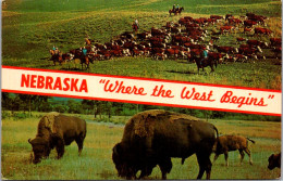 Nebraska Where The West Begins Split View Buffalo And Cattle - Otros & Sin Clasificación