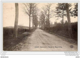 GEDINNE ..-- Route De BEAURAING . 1921 Vers BRUXELLES ( Mr Mme UBAGHS ) . Voir Verso . - Gedinne