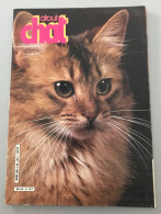 Atout Chat N° 11 - 1986 - Animaux