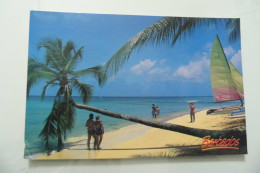 Cartolina Viaggiata "Picture Perfect Beach, West Coast" 1995 - Barbades