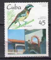 G0697- CUBA Yv N°3491 OISEAUX BIRDS - Usati