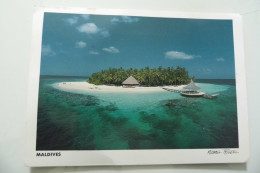 Cartolina Viaggiata  "MALDIVES" 1995 - Maldive