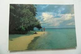 Cartolina Viaggiata  "MALDIVES" 1988 - Maldive