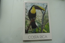 Cartolina Viaggiata "COSTA RICA" 1997 - Costa Rica