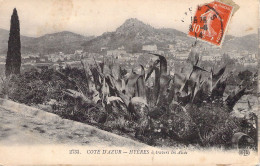 FRANCE - 83 - HYERES - à Travers Les Alcès - Carte Postale Ancienne - Hyeres