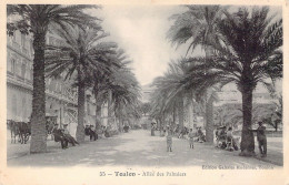 FRANCE - 83 - TOULON - Allée Des Palmiers - Carte Postale Ancienne - Toulon