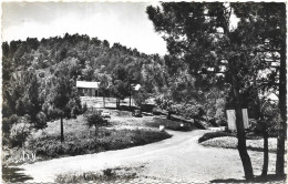 D 83. COLLOBRIERES. LE COL DE BABAOU - Collobrieres