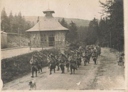WW1 Guerre 14/18 War * Section De Chasseurs Alpins Avec Projecteurs à Dos De Mulets * Alpin * Photo Ancienne 18x13cm - Oorlog 1914-18