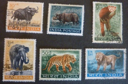 INDE - Préservation De La Vie Sauvage : Gaur-Rhinocéros-Pandas-Éléphant-Tigre-Lion Indien (Panthera Leo Persica) - Gebruikt