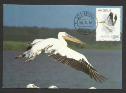 Angola Pélican Oiseau Carte Maximum 1985 Pelican Bird Maxicard - Pellicani