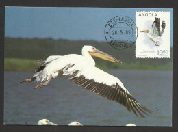 Angola Pélican Oiseau Carte Maximum 1985 Pelican Bird Maxicard - Pelícanos