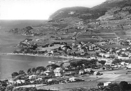 83-CARQUEIRANNE- VUE PANORAMIQUE - Carqueiranne