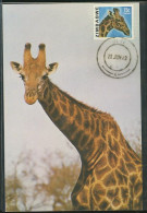 Girafe Zimbabwe Rhodesia Rare Carte Maximum Giraffe Rare Maxicard - Giraffes