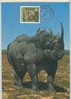 Rhinoceros Zimbabwe Rhodesia Rare Carte Maximum Rhinoceros Rare Maxicard - Rhinocéros