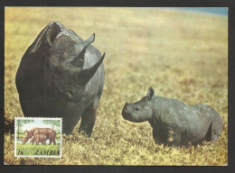 Zambie Rhinocéros Carte Maximum 1978 Rhino Rhinocerus Maxicard Zambia - Rhinocéros