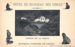 ALEGERIE - Gorges De La Chiffa - Hôtel Du Ruisseau Des Singes - Quelques Familiers De L'hôtel - Carte Postale Ancienne - Autres & Non Classés