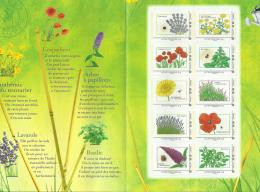 France Collector Graines à Semer Lavande Anthémis Coquelicot Basilic Fleurs Plantes - Collectors