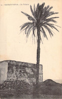 MAROC - Kasbah-Tadla - Le Palmier - Carte Postale Ancienne - Andere & Zonder Classificatie