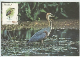 Angola Oiseau Héron Goliath Ardea Goliath Carte Maximum 1985 Goliath Heron Bird Maxicard - Pelícanos