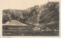 SUISSE - S14698 - Ste Cergue - Vue Générale - Agriculture - En L'état Pli - L23 - Saint-Cergue