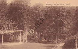Postkaart/Carte Postale - Bassenge - Grotte N-D De Lourdes (C4030) - Bassenge
