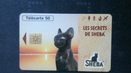 ► France :  Chat  7000 Ex - Katzen