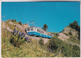 Rigi - Arth-Rigi-Bahn - Arth