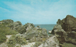 Unique Rock Formation Which Surrounds Beaches, Bermuda - Bermudes