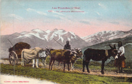 FRANCE - 65 - LES PYRENEES - Un Attelage Montagnard - Carte Postale Ancienne - Other & Unclassified