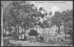 Postal Angola - Mossamedes - Um Trecho Da Avenida - CPA Animé - Angola