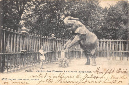 ANIMAUX - ELEPHANT - PARIS, JARDIN DES PLANTES  - LE GRAND ELEPHANT - Éléphants