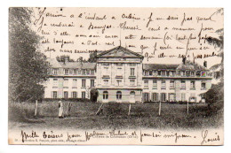 (61) 919, Courtomer, Pasquis Phot-édit 59, Château De Courtomer, Dos Non Divisé - Courtomer